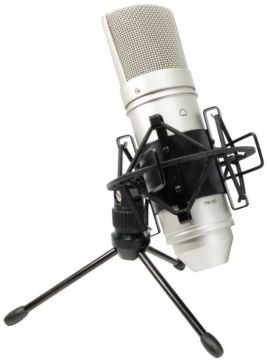 Tascam TM-80 / Cardioid Condenser Mikrofon